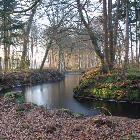 Op deze slide wordt getoond Landgoed Olterterp Lauswolt.