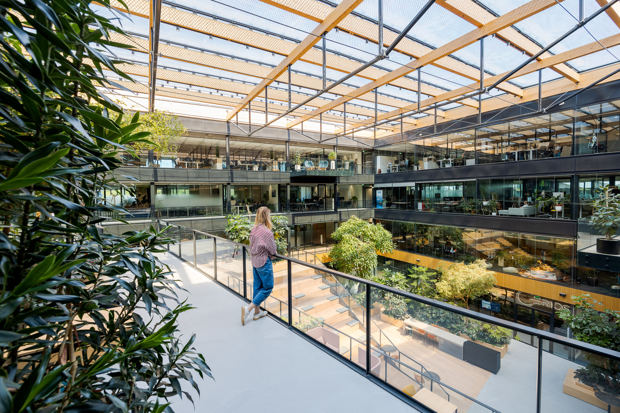 Op deze slide wordt getoond 20250513 ASR DSPF Joniisraeli 016 SWR58356.