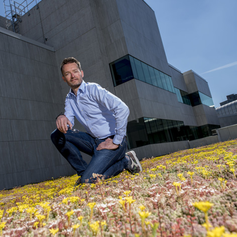 Op deze slide wordt getoond sedumdak kantoor met man.