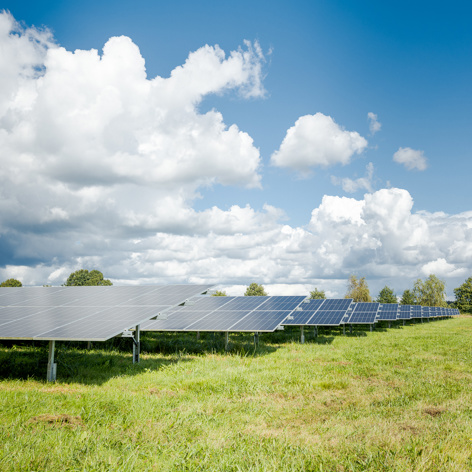 20250905 ASR Joniisraeli 062 SWR56078