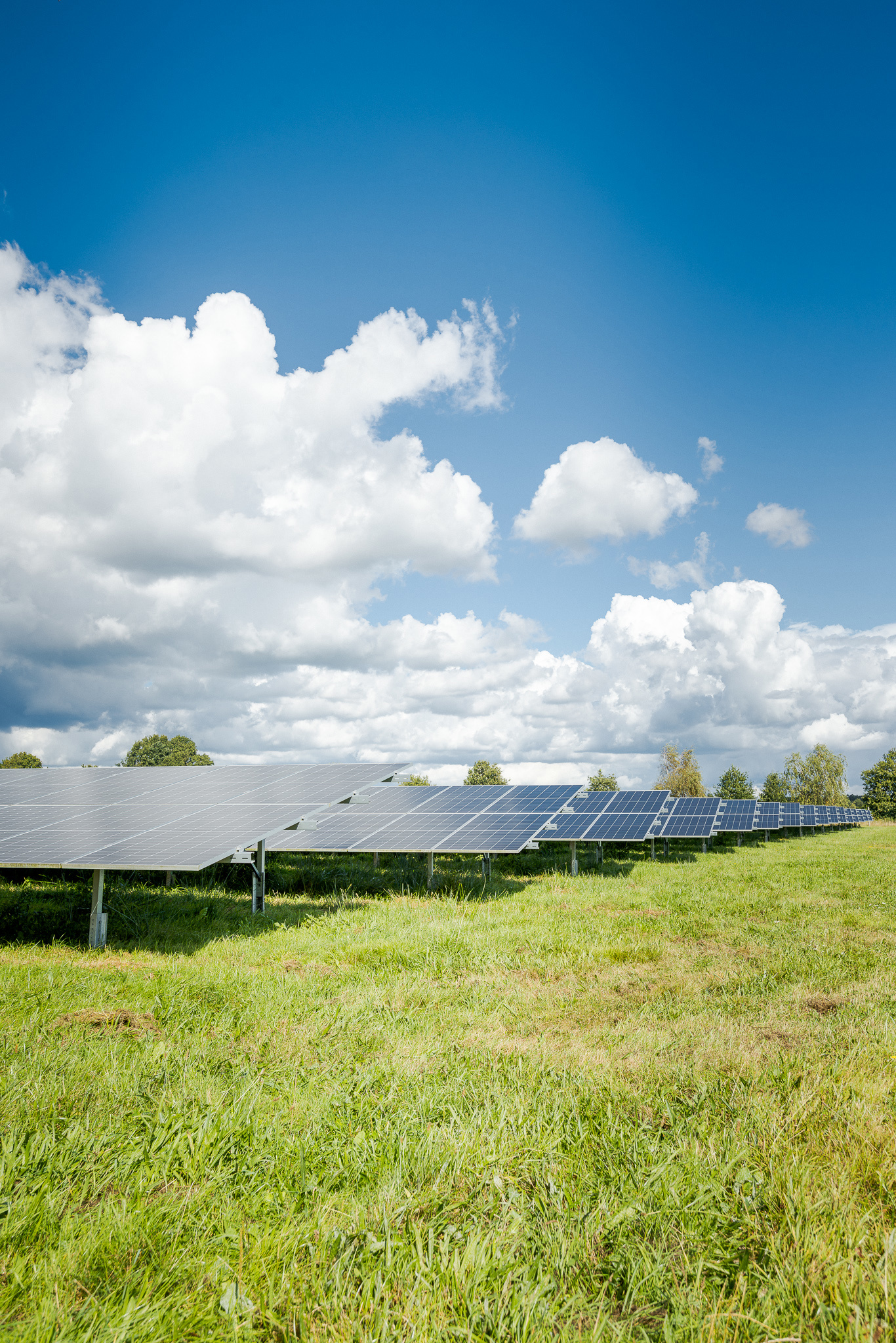 Op deze slide wordt getoond 20250905 ASR Joniisraeli 062 SWR56078.