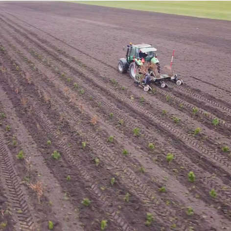 Op deze slide wordt getoond Aanleg Bos Landgoed De Groote Scheere.