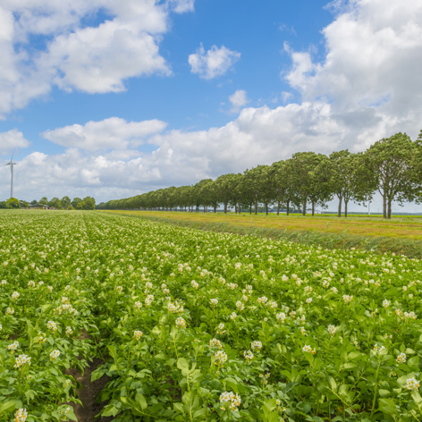 ASR Landelijk Vastgoed Productverschillen