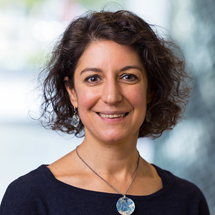 Klik hier om naar het nieuwsoverzicht te gaan dat gefilterd is op Alexandra Rosian.