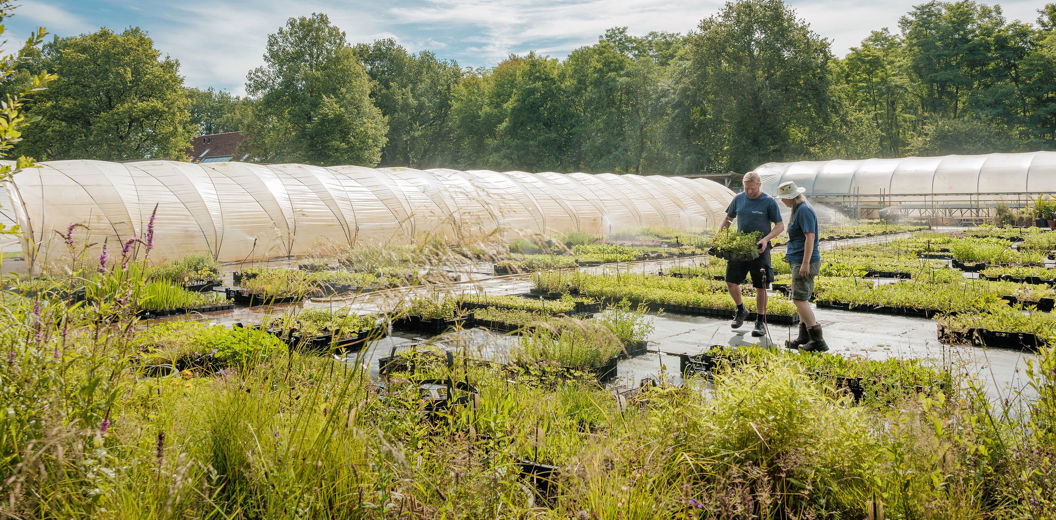 boeren aan het werk in een kwekerij voor inheemse planten