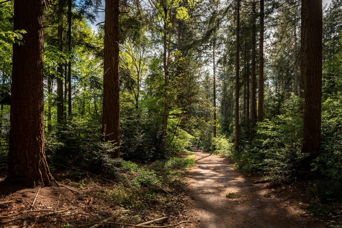 Op deze slide wordt getoond Landgoed Molecaten ASR 1.