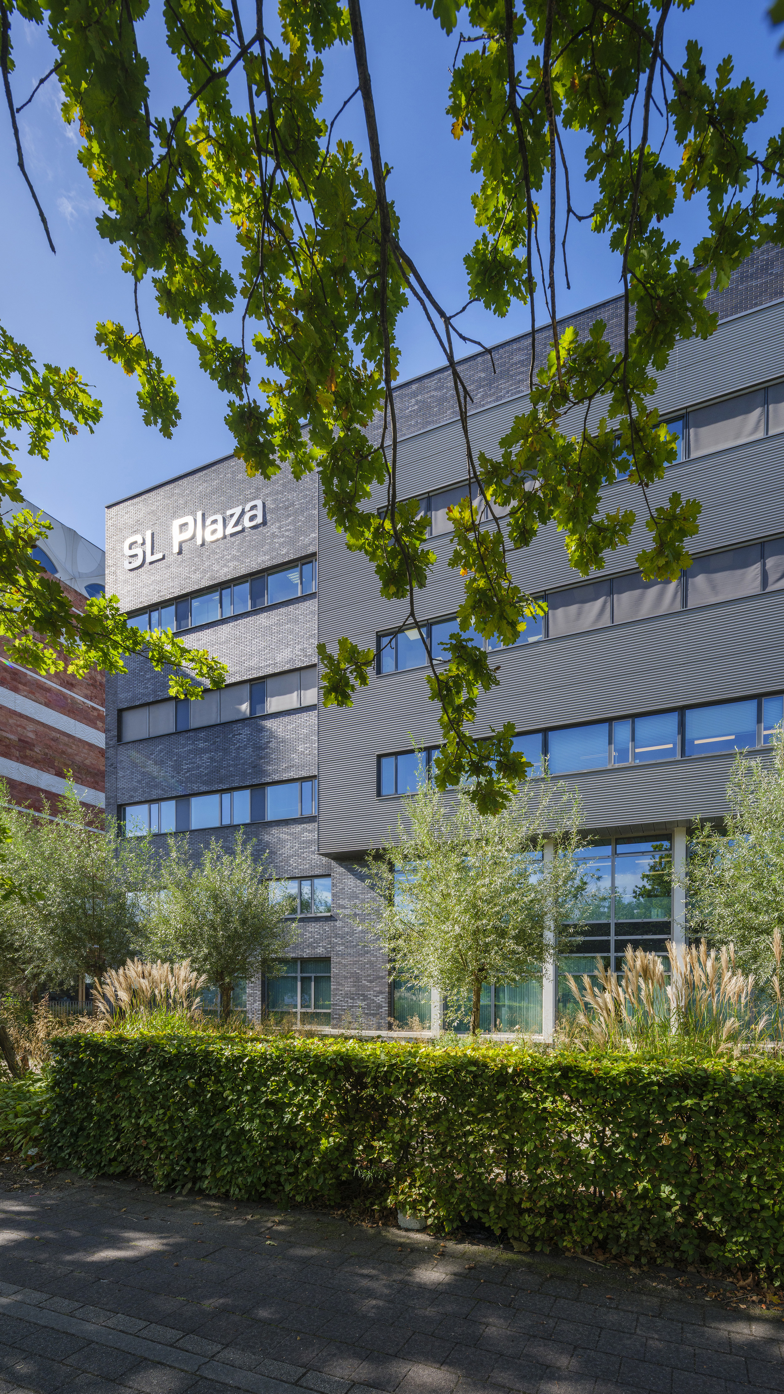 Op deze slide wordt getoond ASR DSPF SL Plaza Foto Corné Bastiaansen 9946@.