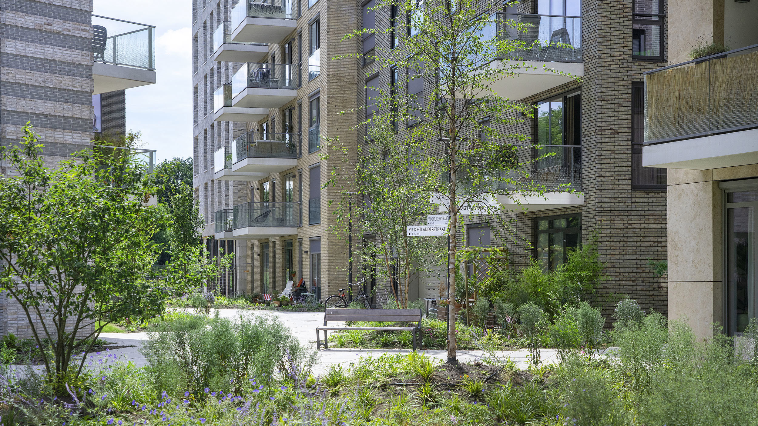 Op deze slide wordt getoond ASR DCRF Cruquiuswerf Foto Corné Bastiaansen (3).