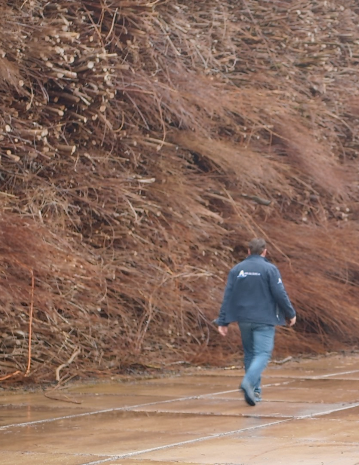 Op deze slide wordt getoond Van Aalburg.