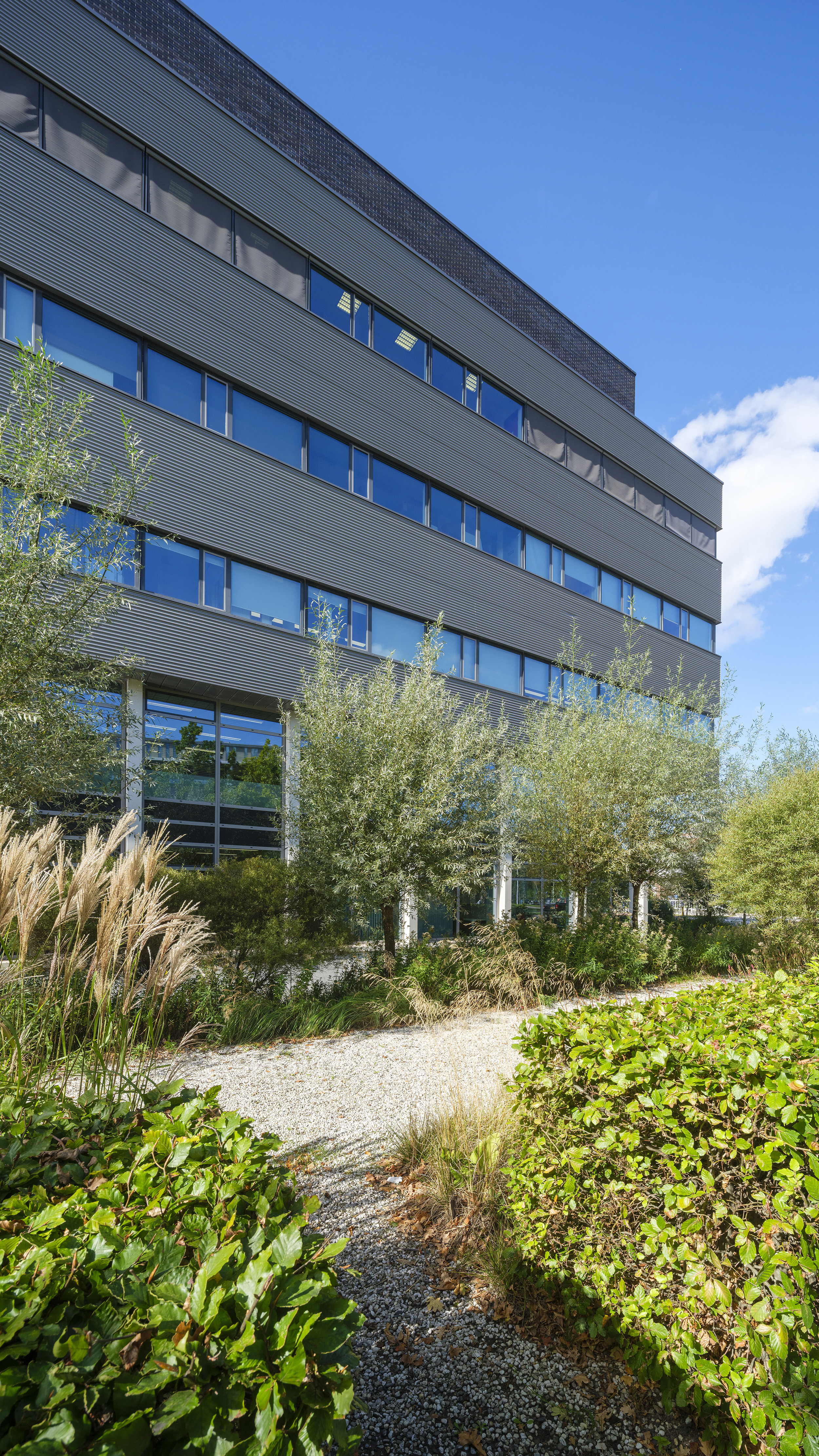 Op deze slide wordt getoond ASR DSPF SL Plaza Foto Corné Bastiaansen 9947@.