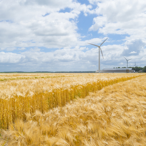 ASR Landelijk Vastgoed Agrarische Index Erfpacht