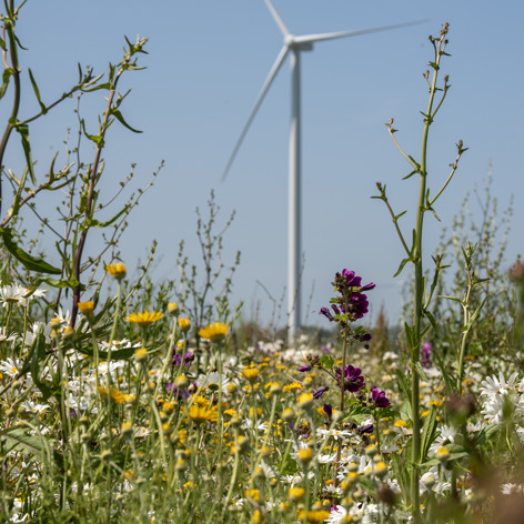 Op deze slide wordt getoond 069Rd Windpark Vattenfall Asr.