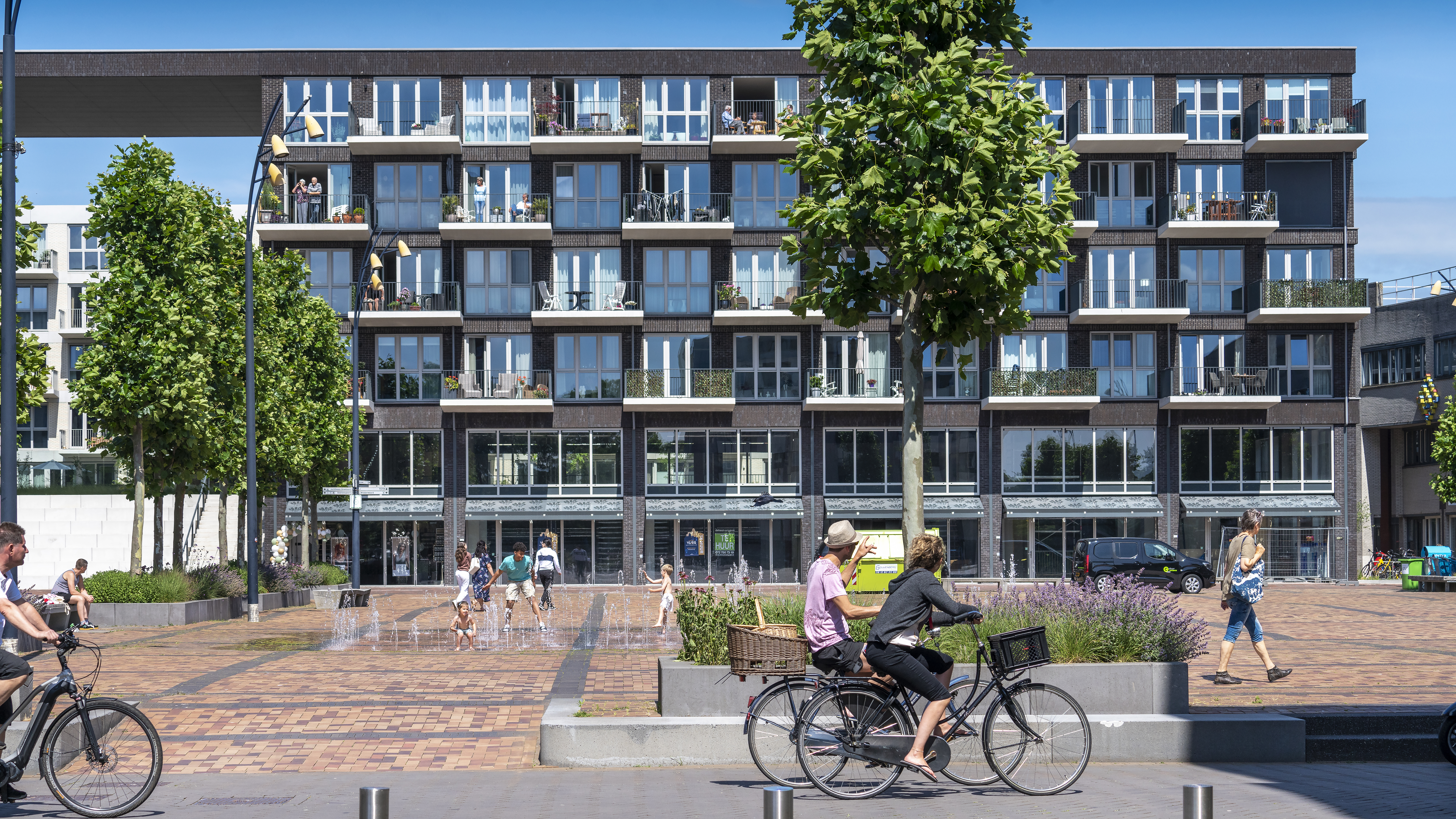 Op deze slide wordt getoond ASR DCRF Lapis Lazuli Foto Corné Bastiaansen (1).