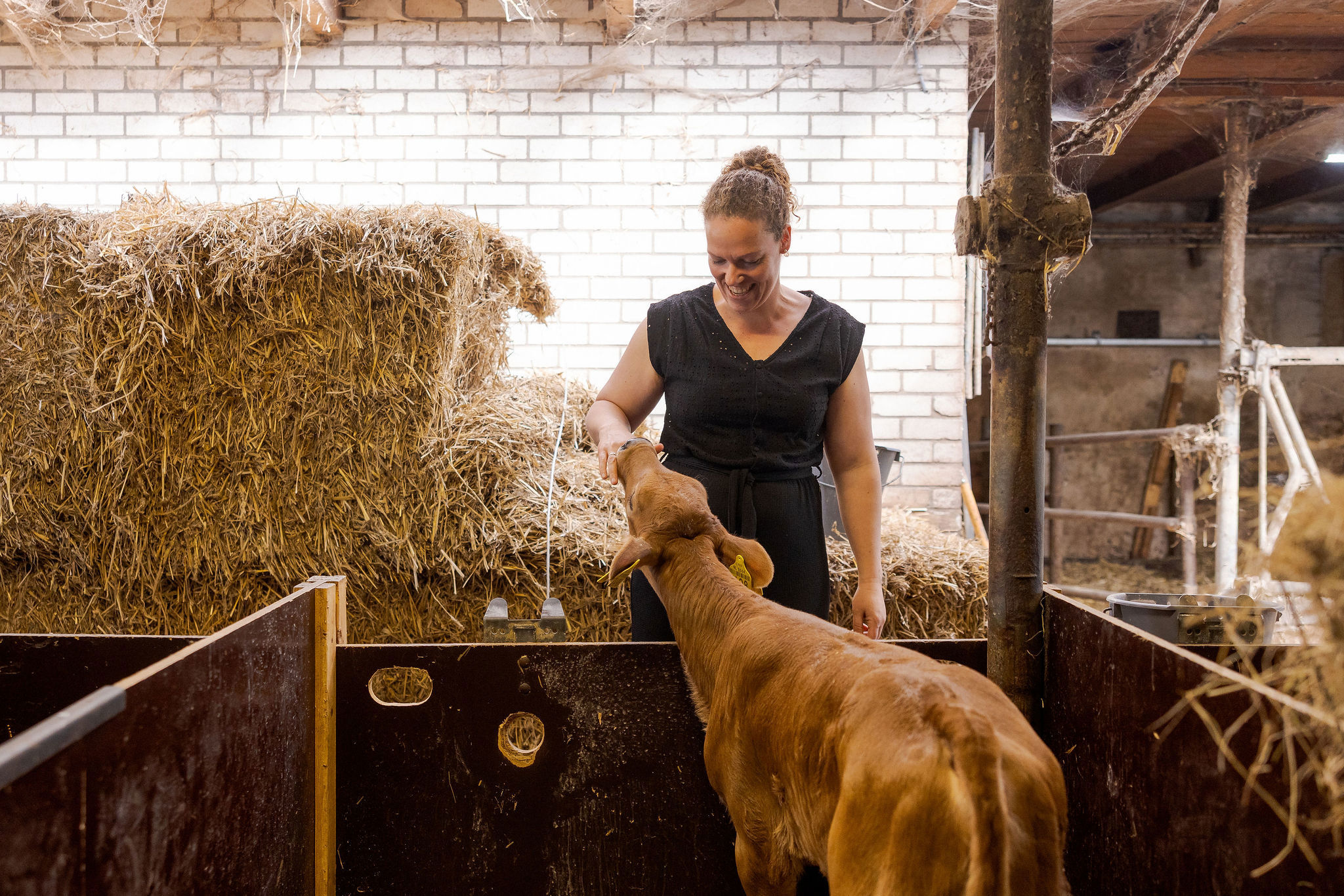 20250429 ASR Joniisraeli 022 SWR52134