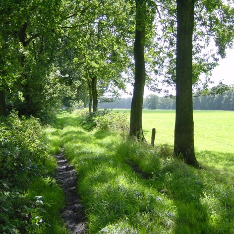 Op deze slide wordt getoond Landgoed Engelenburg ASR.