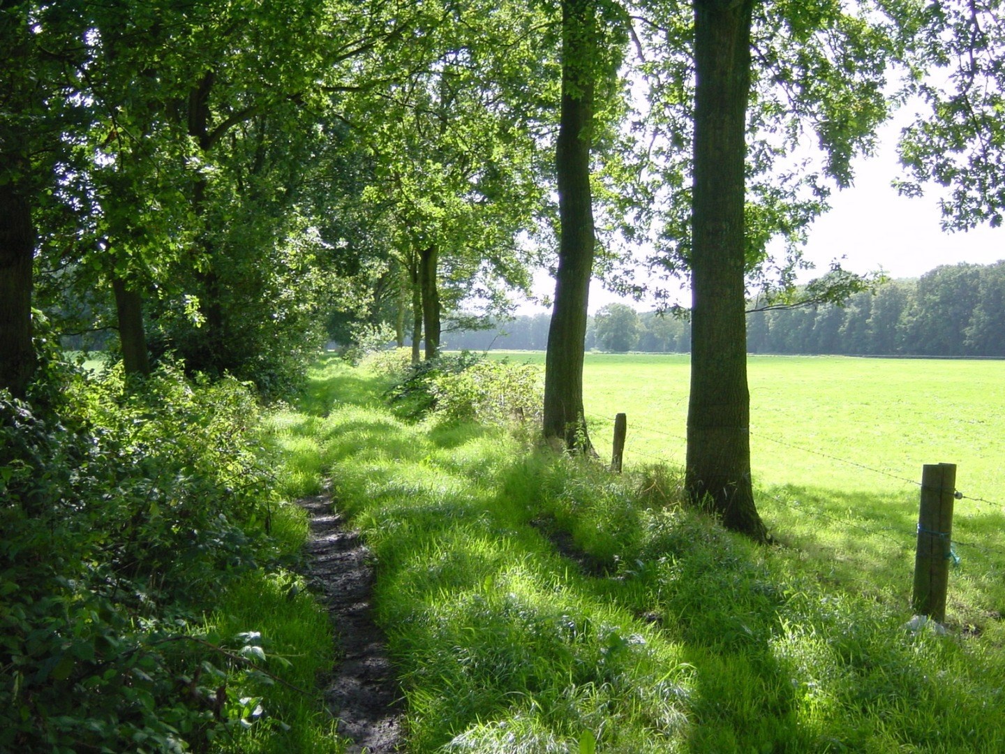 Op deze slide wordt getoond Landgoed Engelenburg ASR.
