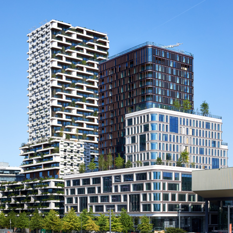 Wonderwoods 29 Juli 2024 Milan Hofmans 2024 15