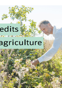 nature-credits-in-dutch-agriculture-2.png