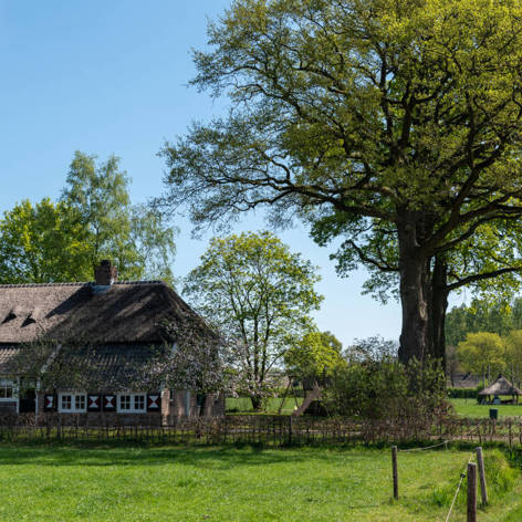 Op deze slide wordt getoond Landgoed Junne Asr (1).