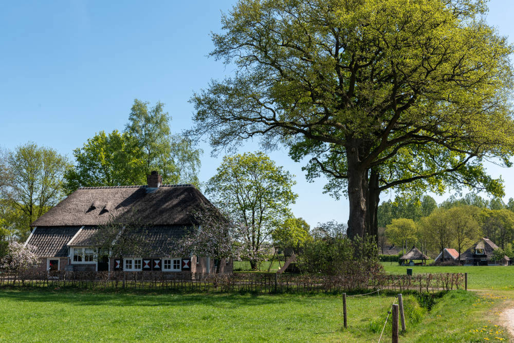 Op deze slide wordt getoond Landgoed Junne Asr (1).
