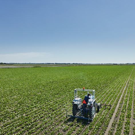 foto akkerbouwer aan het werk op trekker foto door joni israeli