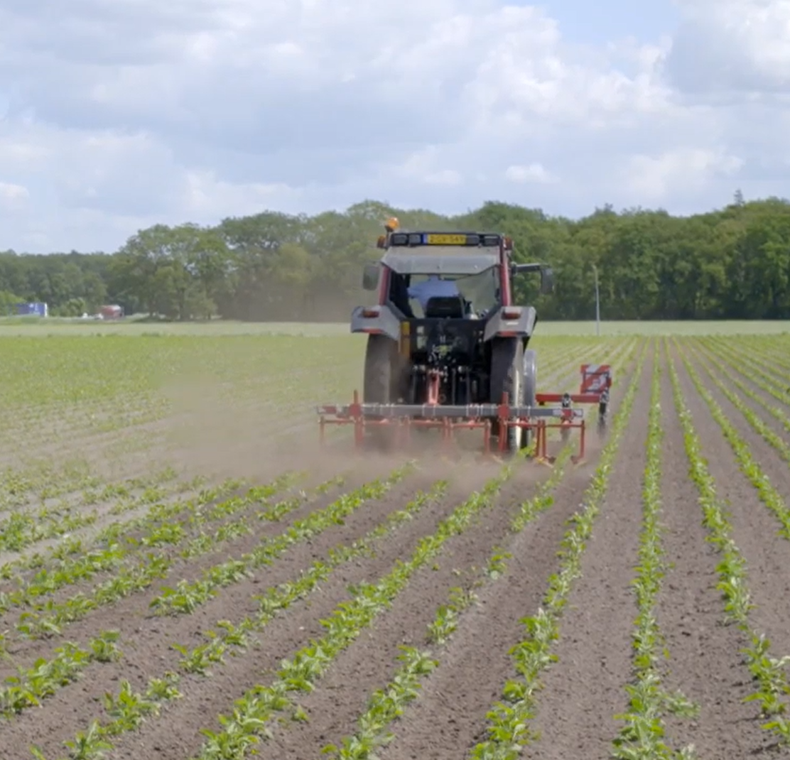 Op deze slide wordt getoond Harro Oosting.