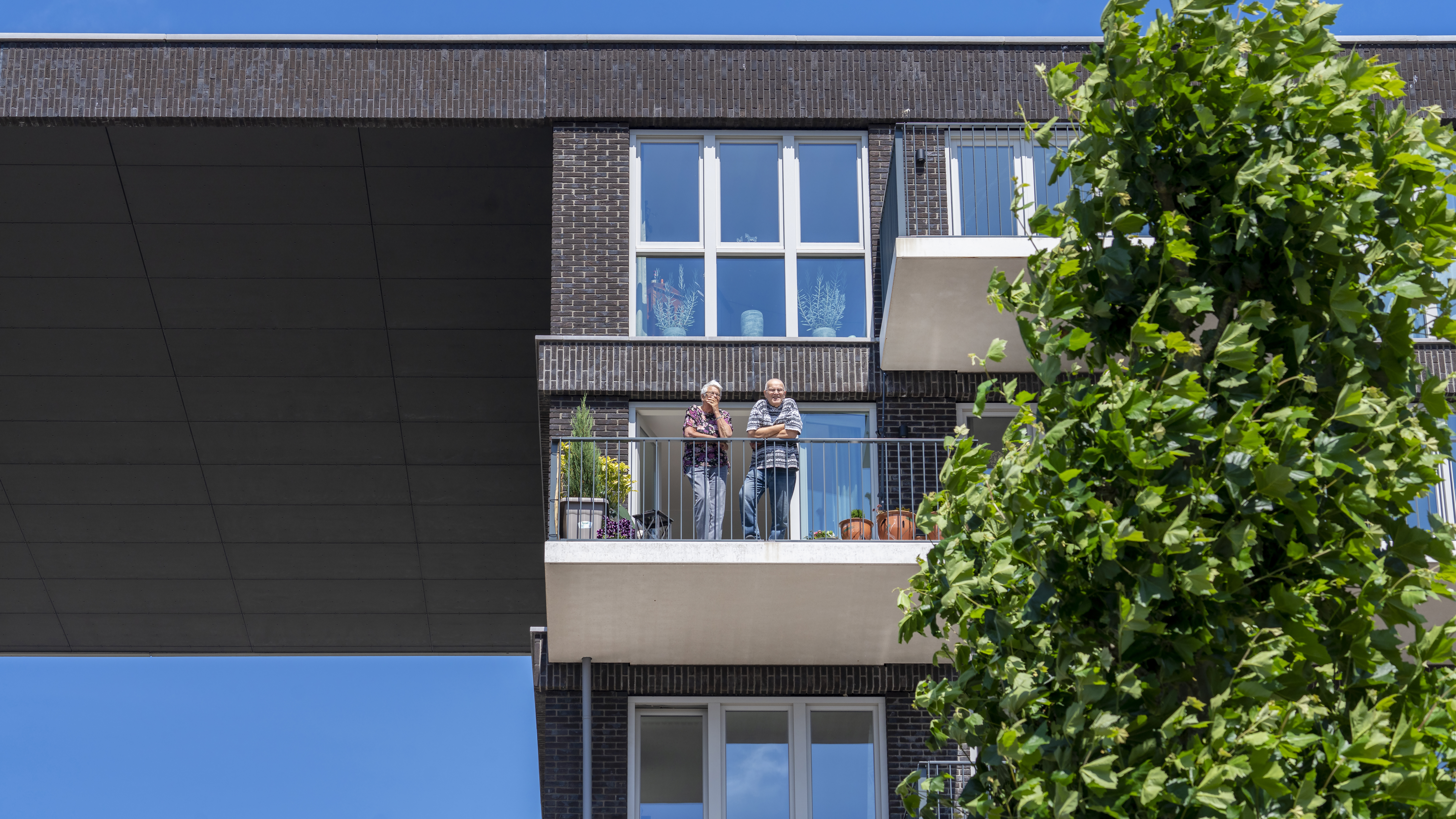 Op deze slide wordt getoond ASR DCRF Lapis Lazuli Foto Corné Bastiaansen.