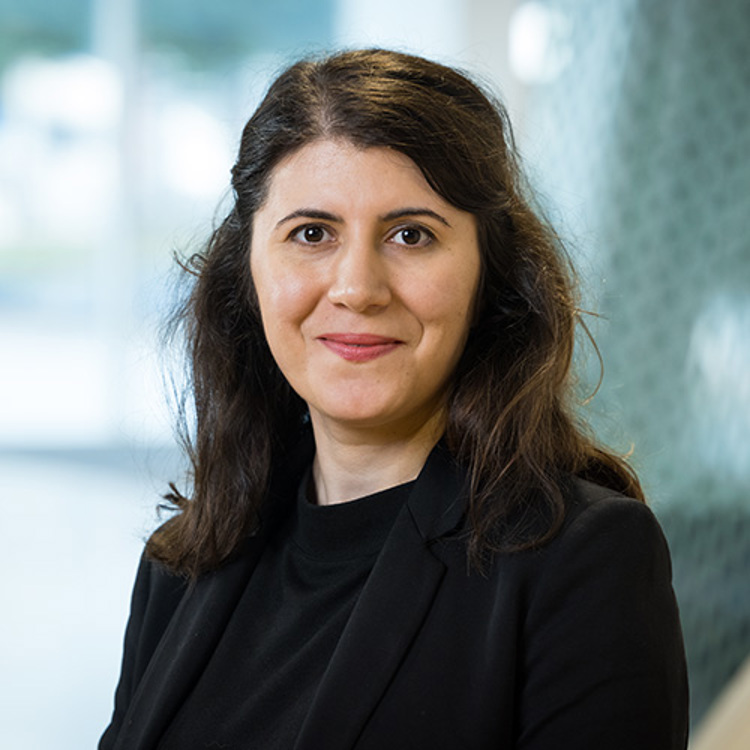 Dit is een foto van Shalaleh Hillebrand.